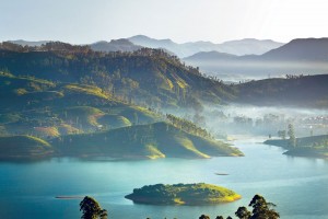 День 2. Ceylon Tea Trails. 