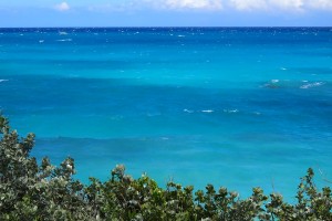 День 5. Авиаперелет Нью-Йорк - Нассау. Лицензия CC0 Creative Commons, автор yrolle