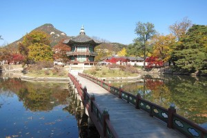 День 6. Выбранные процедуры в клинике. 