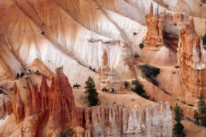 День 8. Свободный день в Лас-Вегасе. Лицензия Pixabay License, автор skeeze