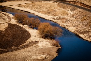 День 12. Окончание программы. Лицензия CC0 Creative Commons, автор HansenHimself 