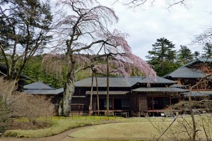 День 5. Свободное время или дополнительные экскурсии. Лицензия CC0 Creative Commons, автор ArvidO