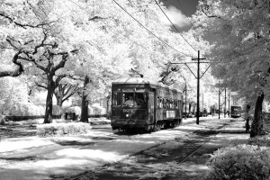 День 6. Новый Орлеан. Лицензия CC0 Creative Commons, автор Falkenpost